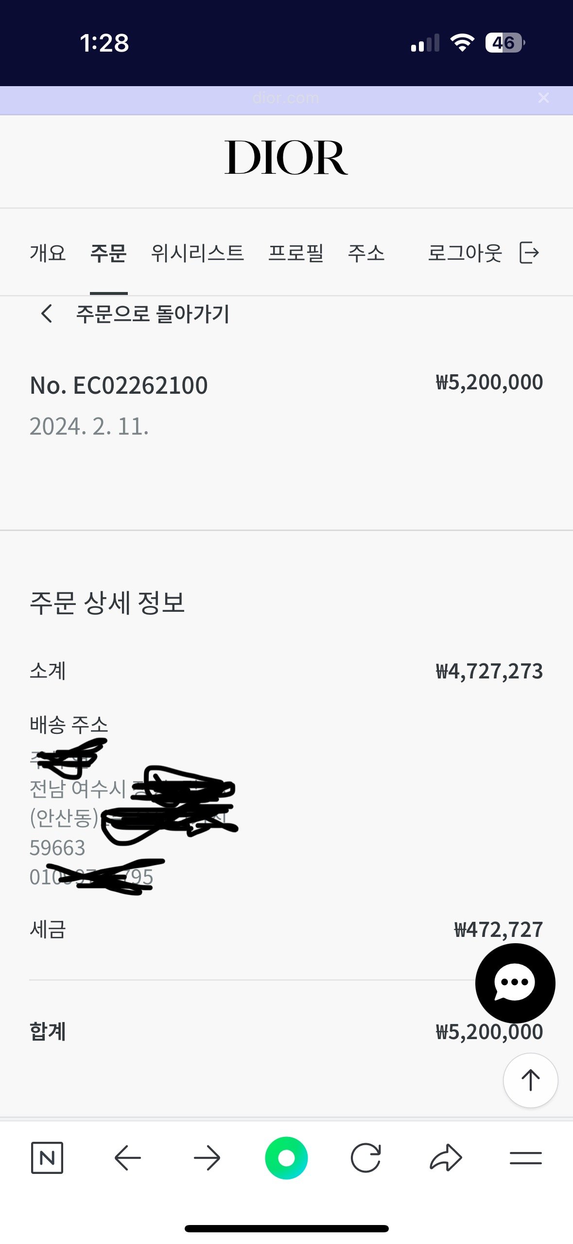 디올 오블리크 새들백