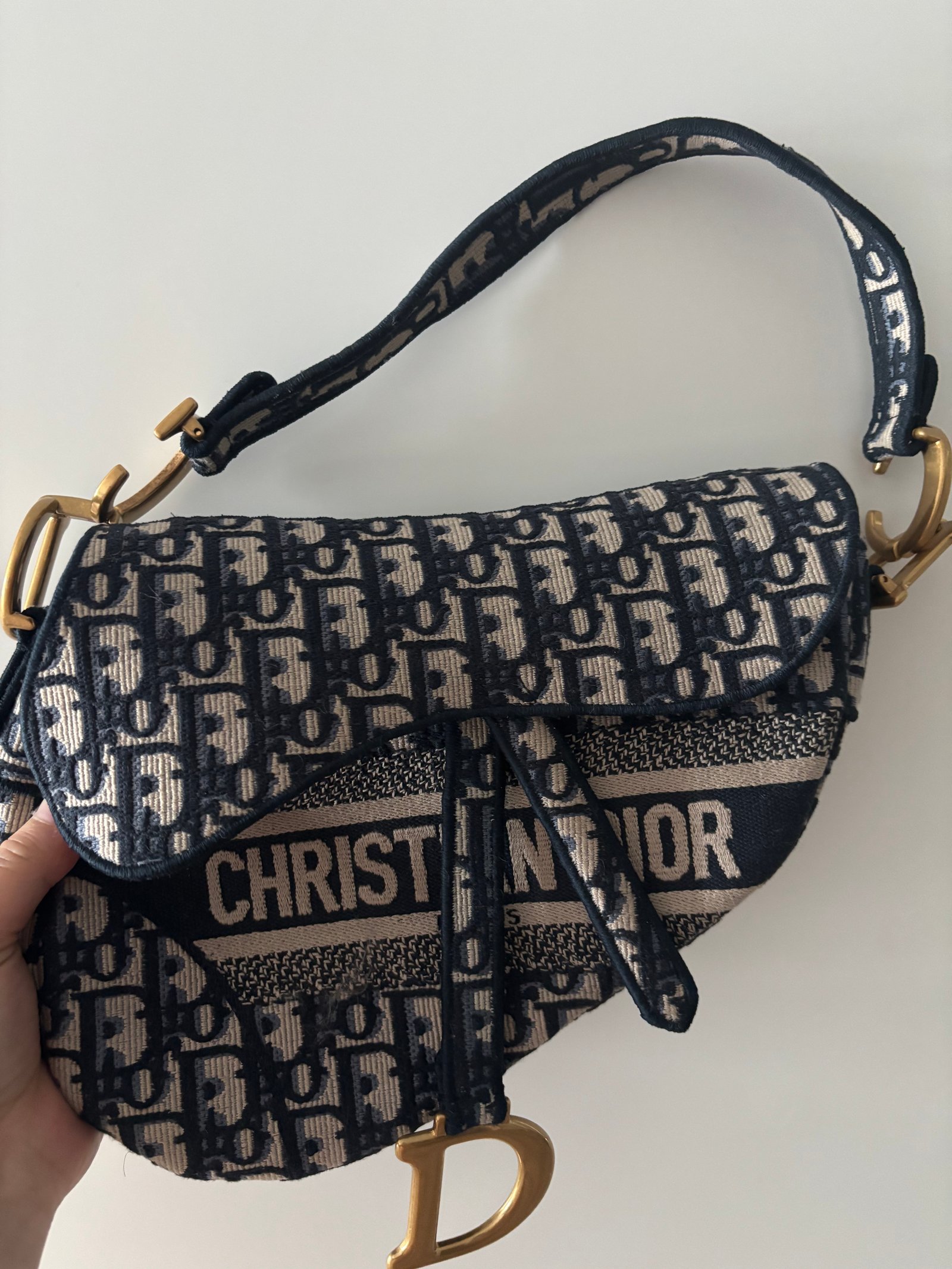 디올 오블리크 새들백