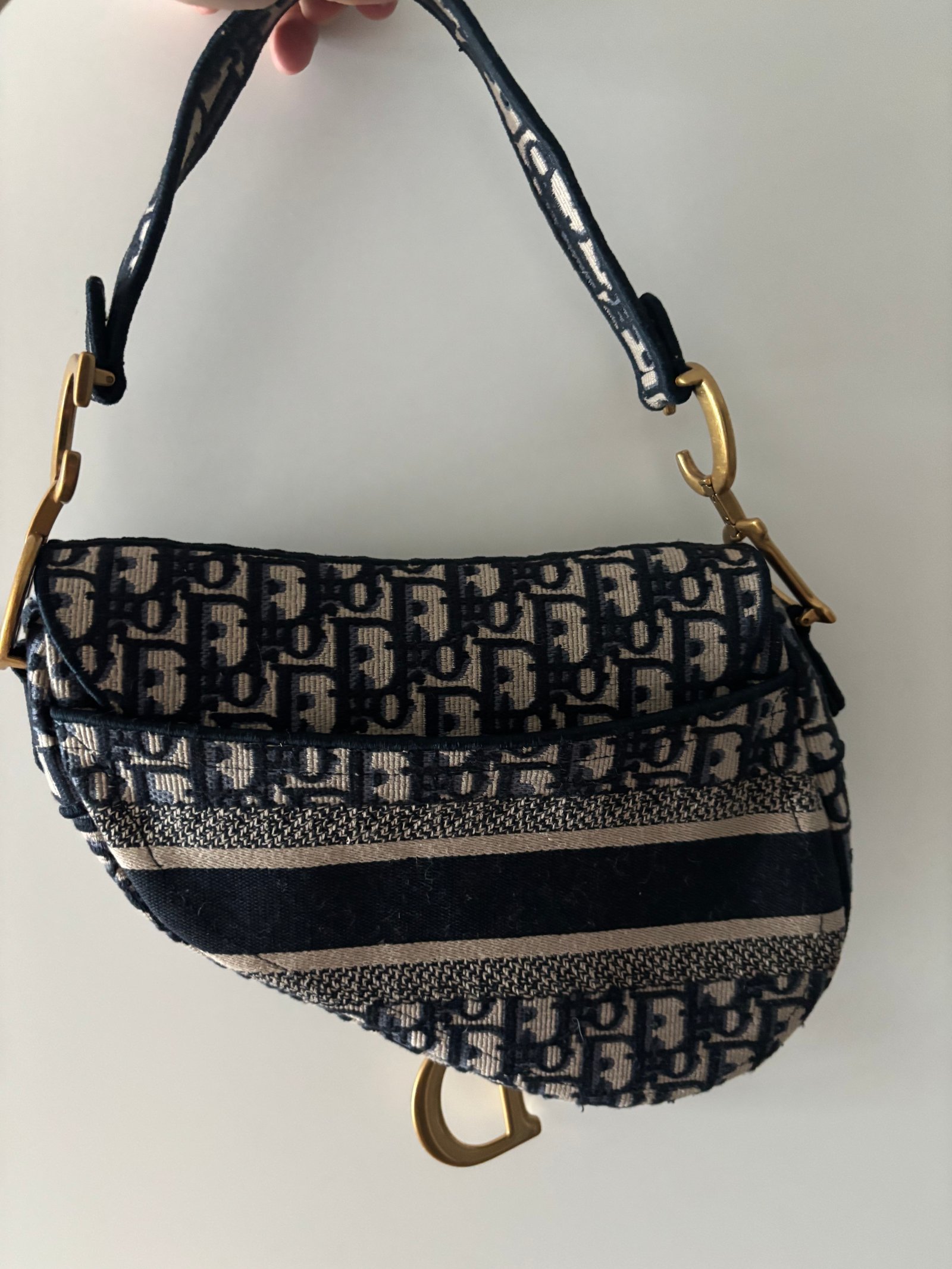 디올 오블리크 새들백