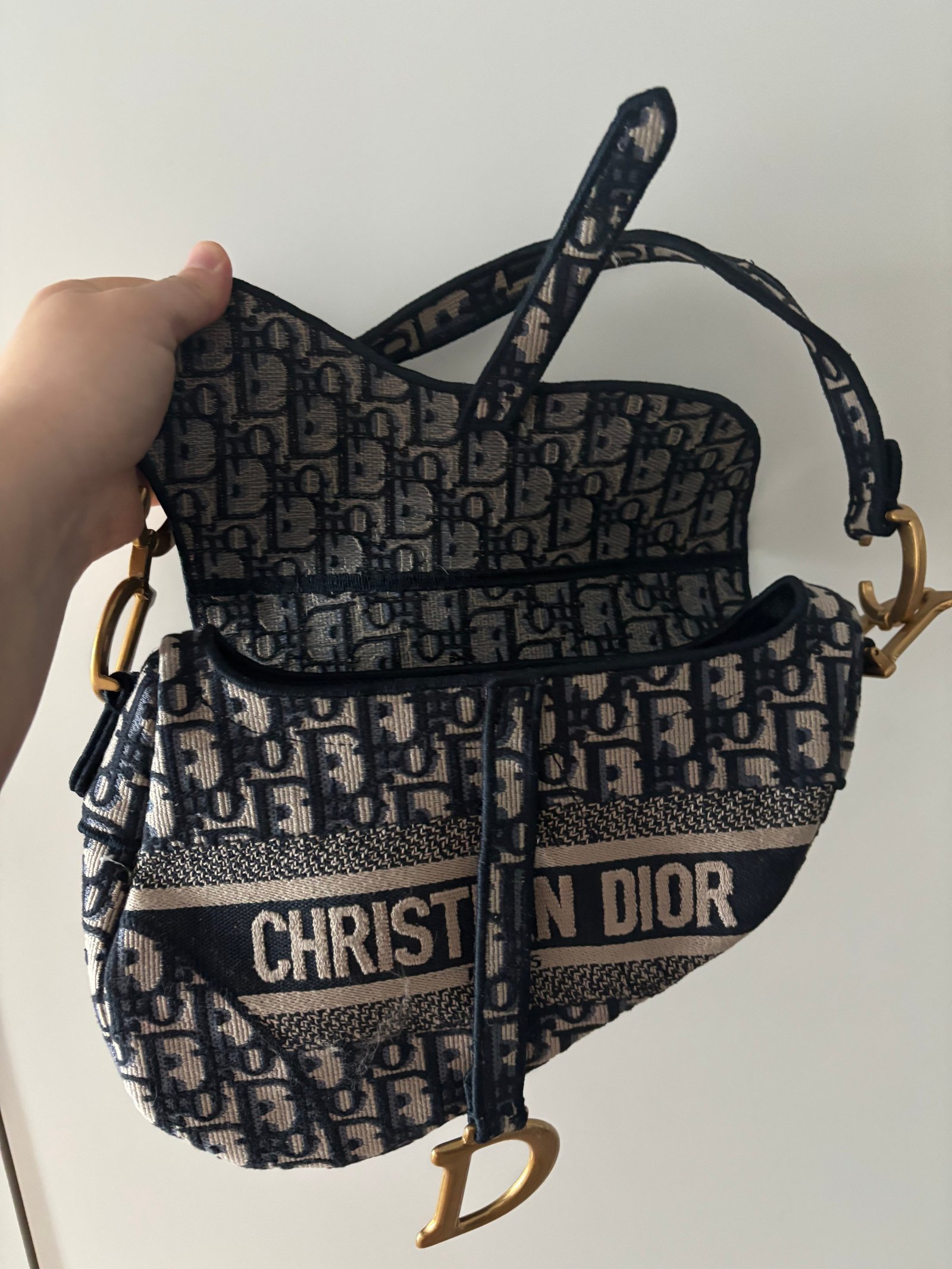 디올 오블리크 새들백