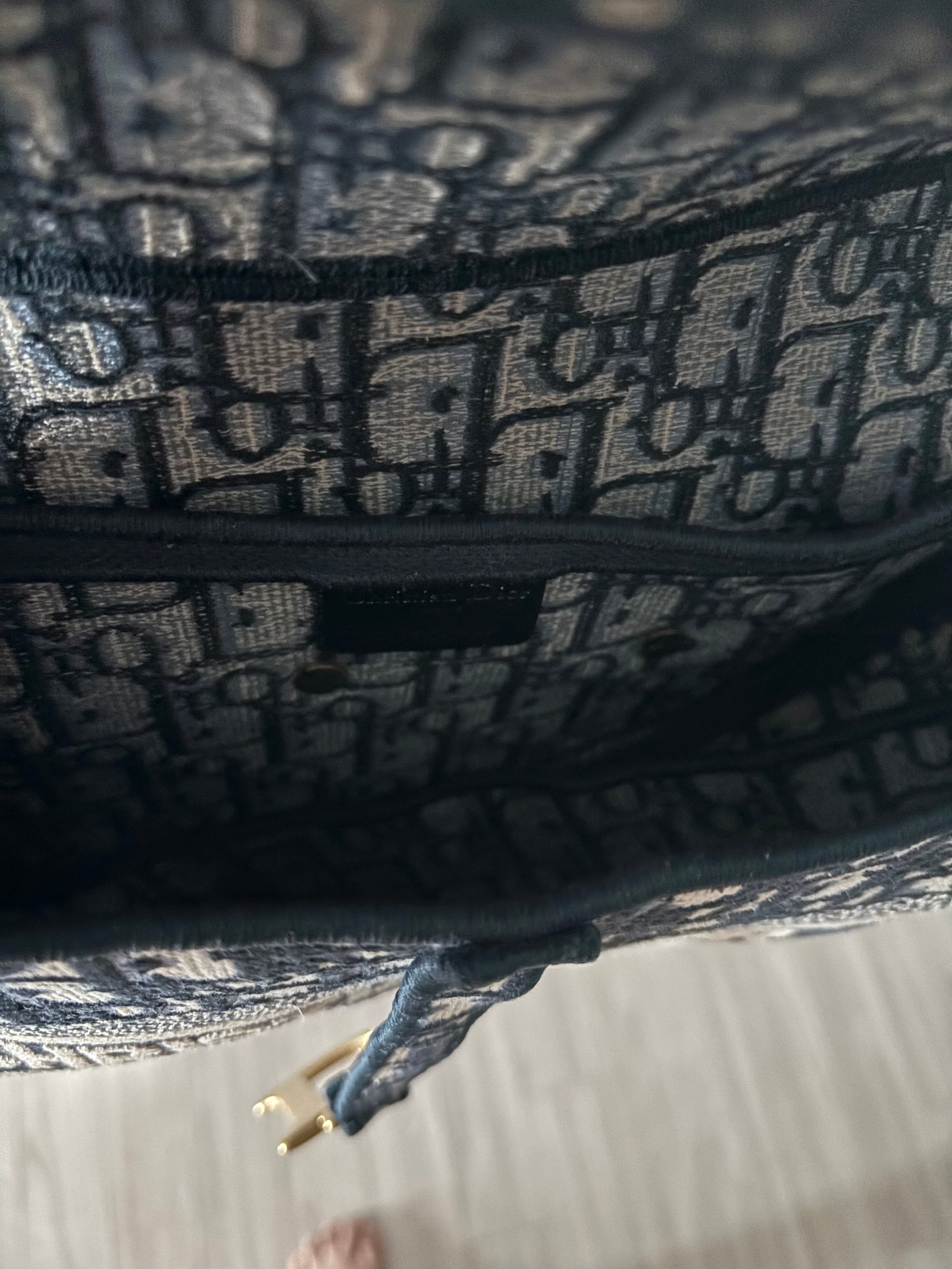 디올 오블리크 새들백