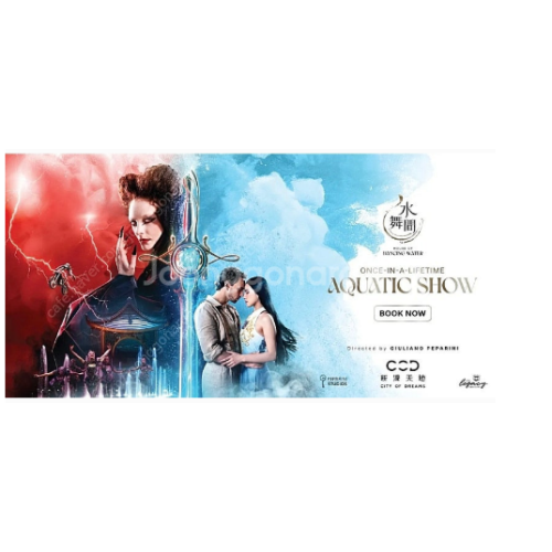 하우스오브댄싱워터쇼 1+1 티켓