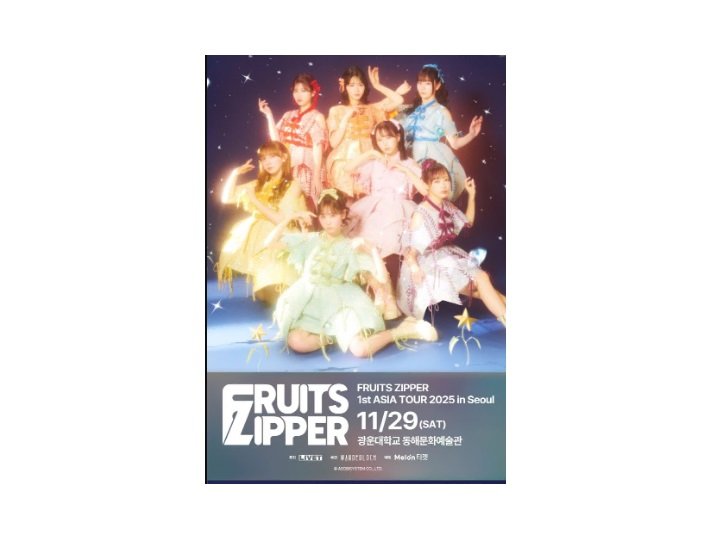 후르츠지퍼 내한 콘서트 VIP석 양도